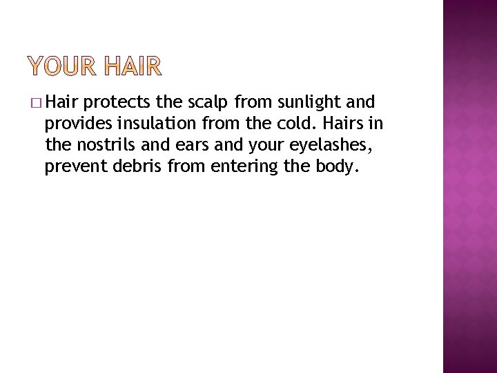 � Hair protects the scalp from sunlight and provides insulation from the cold. Hairs