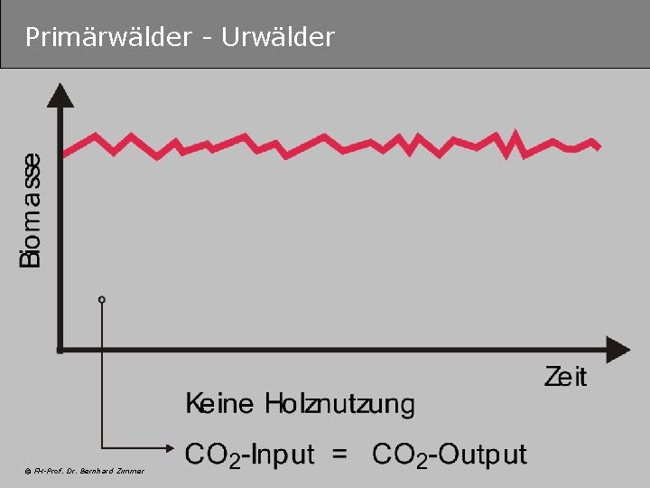 Primärwälder - Urwälder © FH-Prof. Dr. Bernhard Zimmer 