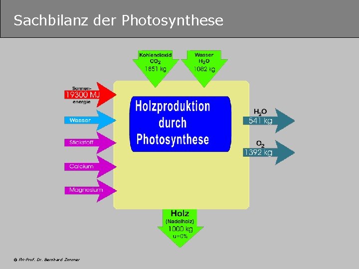 Sachbilanz der Photosynthese © FH-Prof. Dr. Bernhard Zimmer 