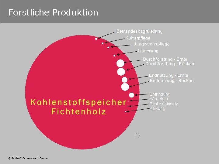 Forstliche Produktion © FH-Prof. Dr. Bernhard Zimmer 