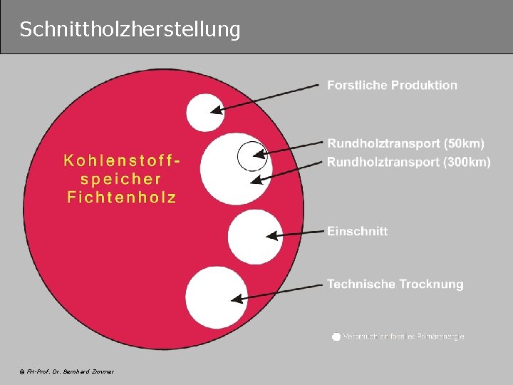 Schnittholzherstellung © FH-Prof. Dr. Bernhard Zimmer 