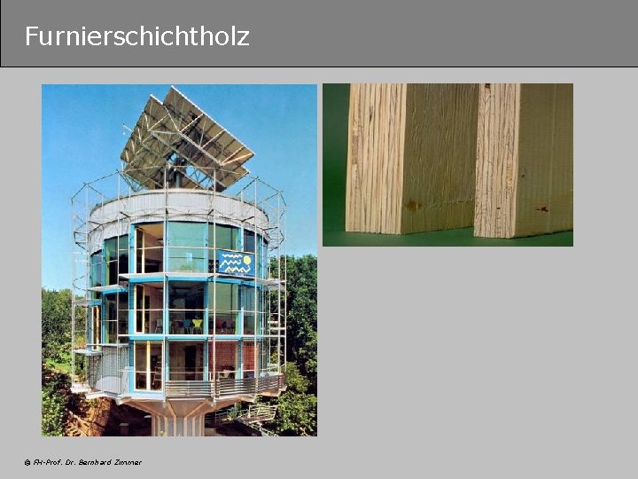 Furnierschichtholz © FH-Prof. Dr. Bernhard Zimmer 