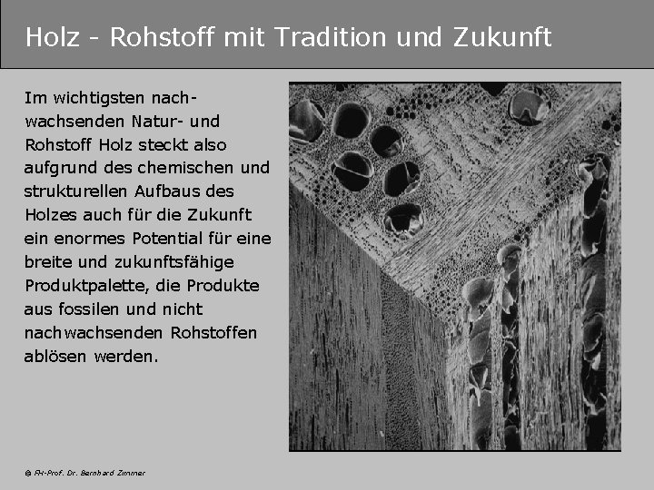 Holz - Rohstoff mit Tradition und Zukunft Im wichtigsten nachwachsenden Natur- und Rohstoff Holz