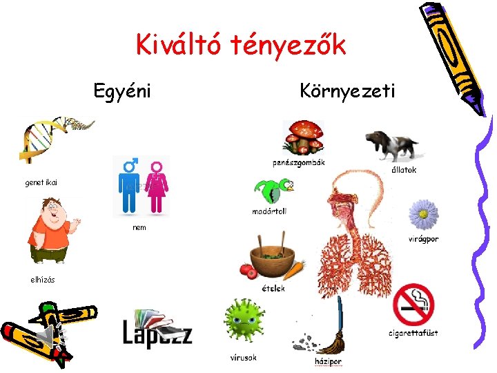 Kiváltó tényezők Egyéni genetikai nem elhízás Környezeti 