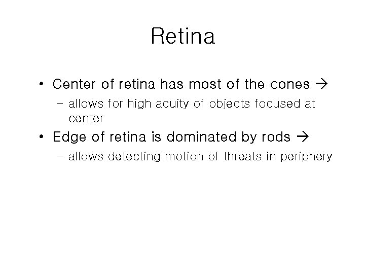 Retina • Center of retina has most of the cones – allows for high