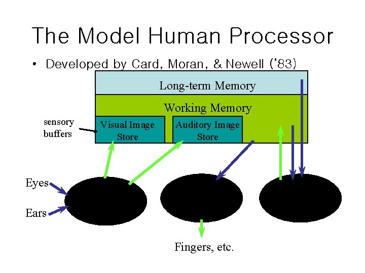 The Model Human Processor • Developed by Card, Moran, & Newell (‘ 83) Long-term