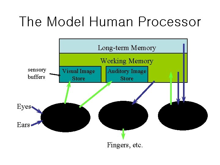 The Model Human Processor Long-term Memory Working Memory sensory buffers Eyes Ears Visual Image