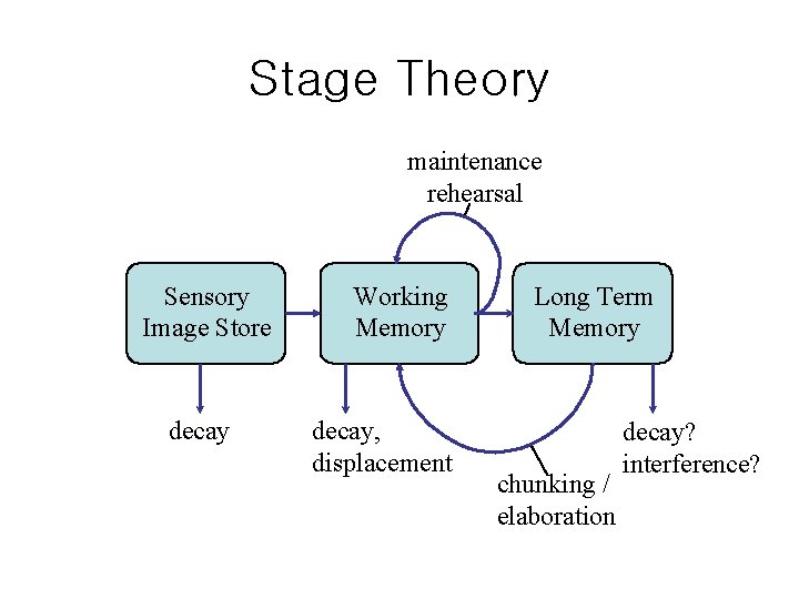 Stage Theory maintenance rehearsal Sensory Image Store decay Working Memory decay, displacement Long Term