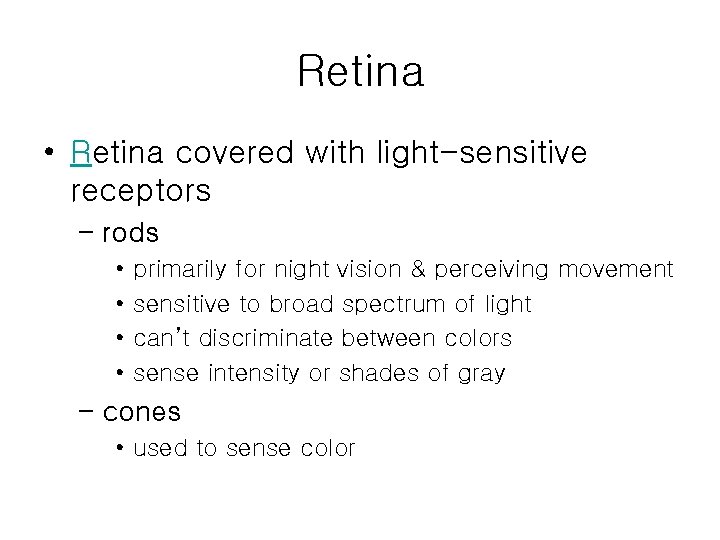 Retina • Retina covered with light-sensitive receptors – rods • • primarily for night