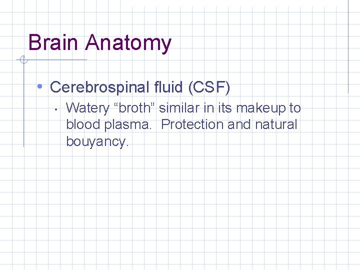 Brain Anatomy • Cerebrospinal fluid (CSF) • Watery “broth” similar in its makeup to