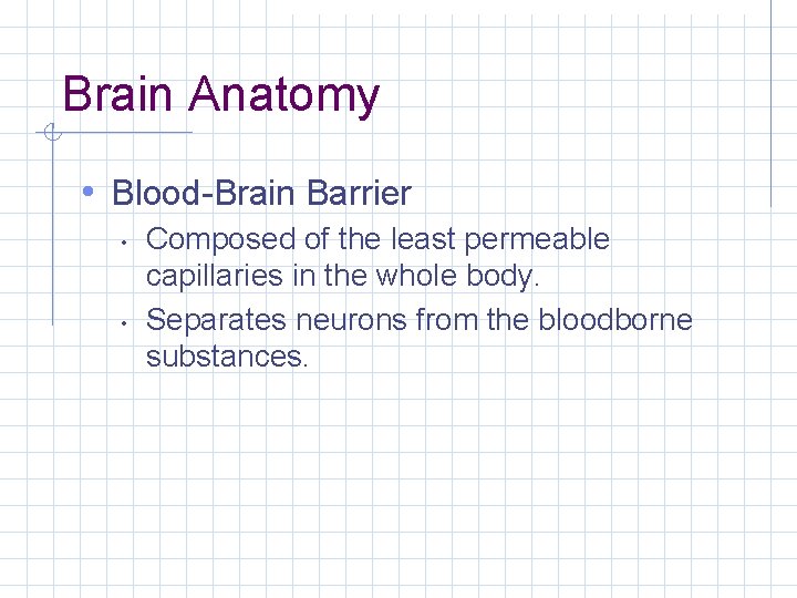 Brain Anatomy • Blood-Brain Barrier • • Composed of the least permeable capillaries in