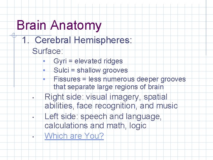 Brain Anatomy 1. Cerebral Hemispheres: Surface: • • • Gyri = elevated ridges Sulci