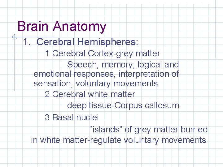 Brain Anatomy 1. Cerebral Hemispheres: 1 Cerebral Cortex-grey matter Speech, memory, logical and emotional