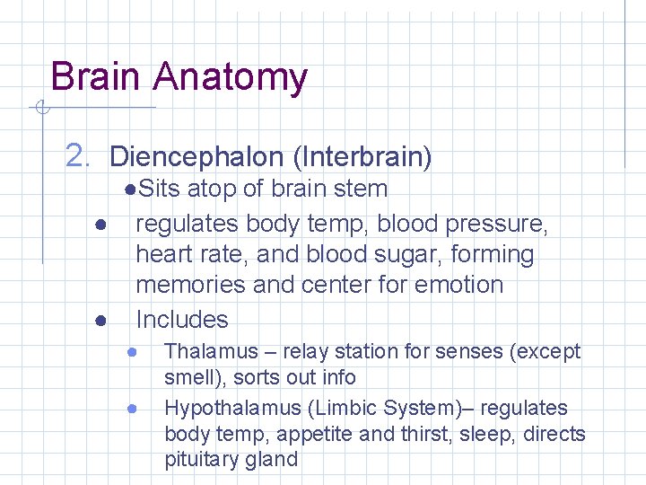 Brain Anatomy 2. Diencephalon (Interbrain) ●Sits atop of brain stem ● regulates body temp,