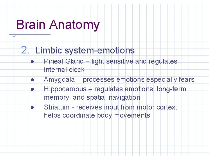 Brain Anatomy 2. Limbic system-emotions ● ● Pineal Gland – light sensitive and regulates