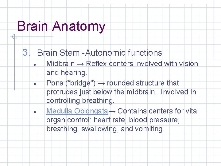 Brain Anatomy 3. Brain Stem -Autonomic functions ● ● ● Midbrain → Reflex centers