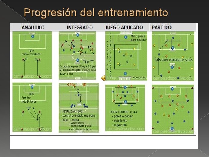 Progresión del entrenamiento 