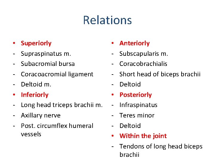 Relations • • - Superiorly Supraspinatus m. Subacromial bursa Coracoacromial ligament Deltoid m. Inferiorly