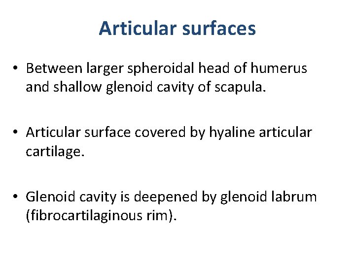Articular surfaces • Between larger spheroidal head of humerus and shallow glenoid cavity of