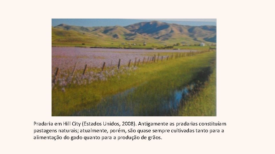 Pradaria em Hill City (Estados Unidos, 2008). Antigamente as pradarias constituíam pastagens naturais; atualmente,