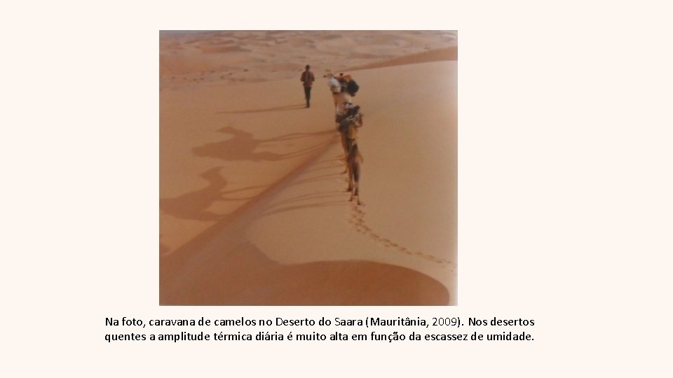 Na foto, caravana de camelos no Deserto do Saara (Mauritânia, 2009). Nos desertos quentes