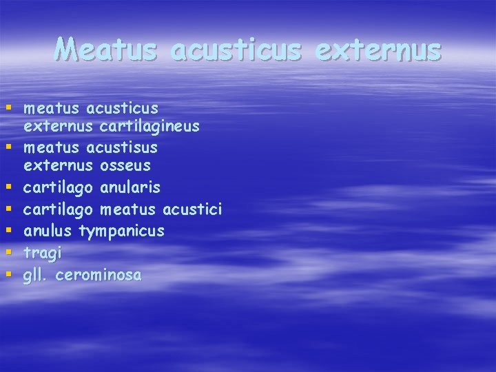 Meatus acusticus externus § meatus acusticus externus cartilagineus § meatus acustisus externus osseus §