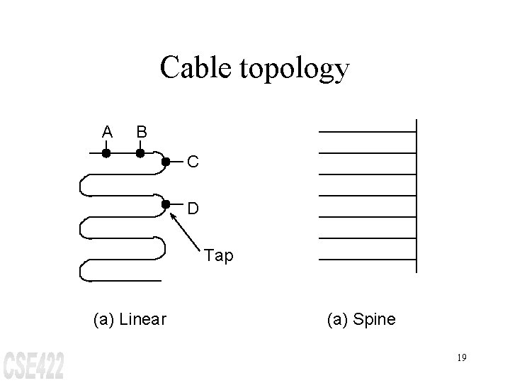 Cable topology A B C D Tap (a) Linear (a) Spine 19 