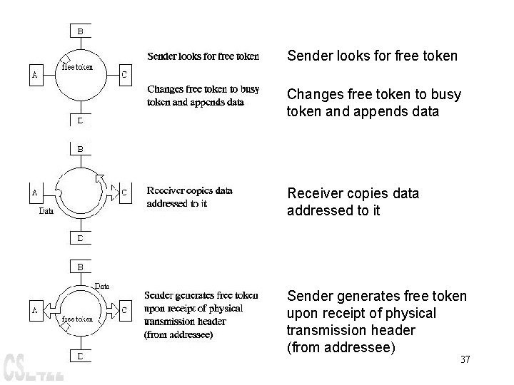 Sender looks for free token Changes free token to busy token and appends data