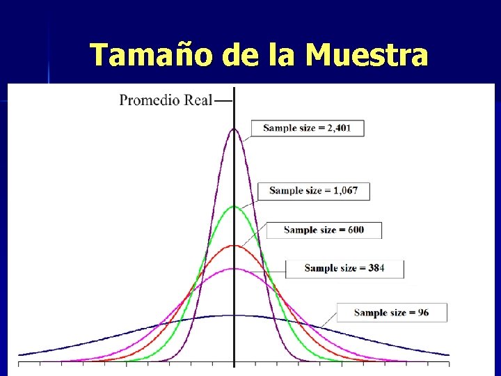 Tamaño de la Muestra Xx = 12. 4 x = 18. 8 