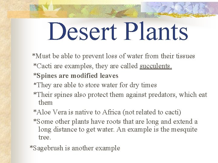 Desert Plants *Must be able to prevent loss of water from their tissues *Cacti