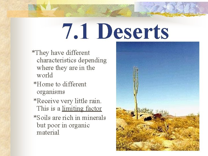 7. 1 Deserts *They have different characteristics depending where they are in the world