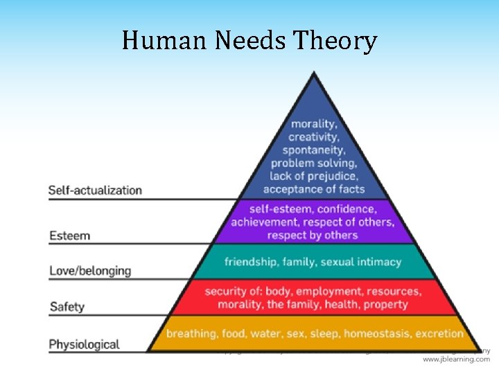 Human Needs Theory Human Needs Theory