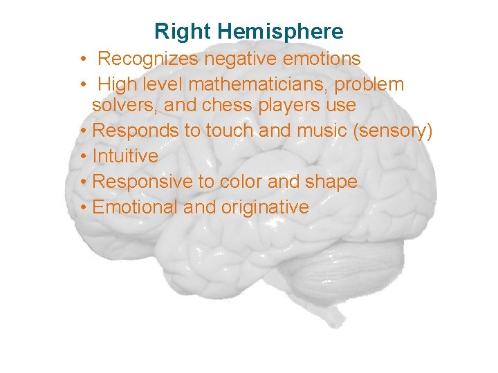 Right Hemisphere • Recognizes negative emotions • High level mathematicians, problem solvers, and chess