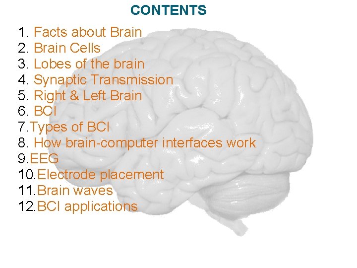 CONTENTS 1. Facts about Brain 2. Brain Cells 3. Lobes of the brain 4.