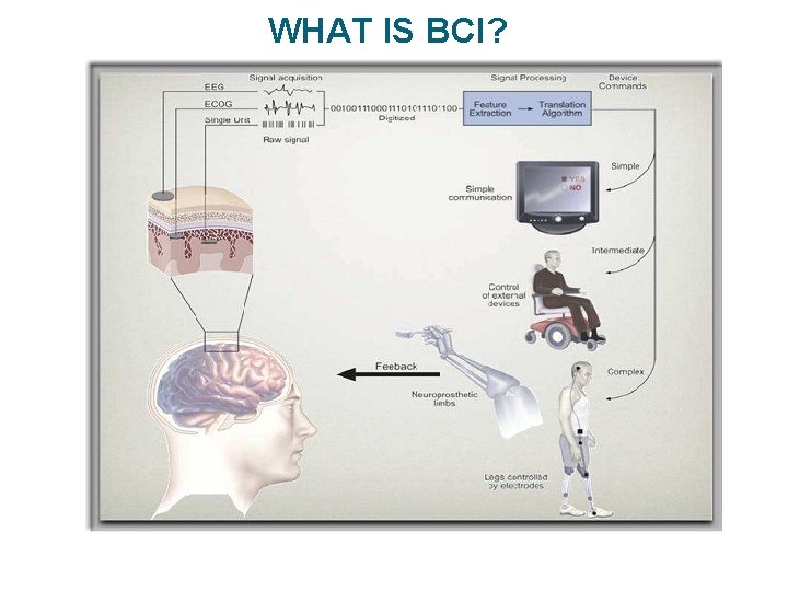 WHAT IS BCI? 