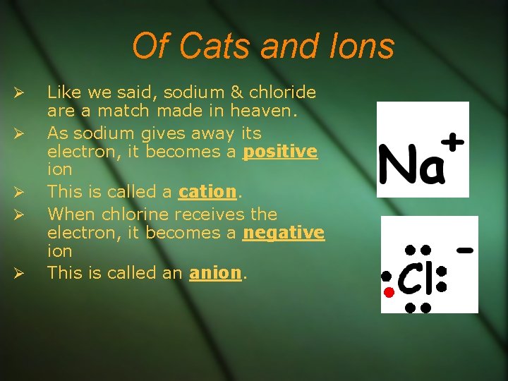 Of Cats and Ions Like we said, sodium & chloride are a match made