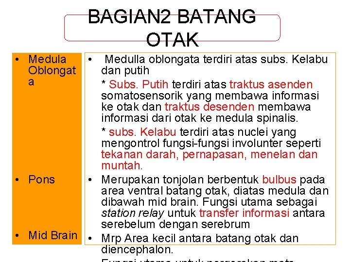 BAGIAN 2 BATANG OTAK • Medula Oblongat a • Medulla oblongata terdiri atas subs.