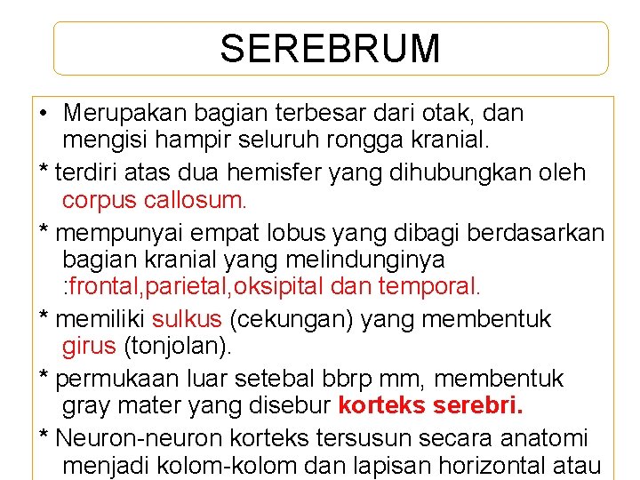 SEREBRUM • Merupakan bagian terbesar dari otak, dan mengisi hampir seluruh rongga kranial. *