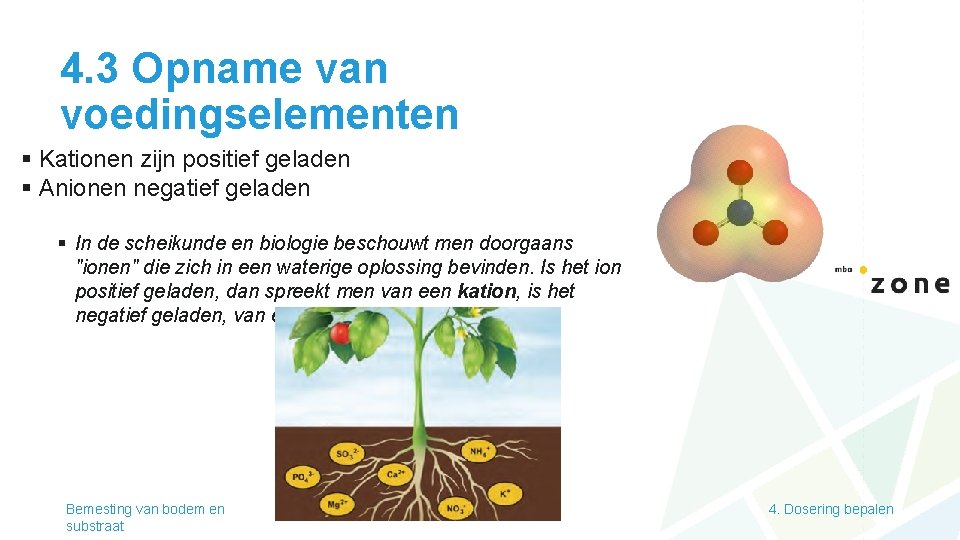 4. 3 Opname van voedingselementen § Kationen zijn positief geladen § Anionen negatief geladen