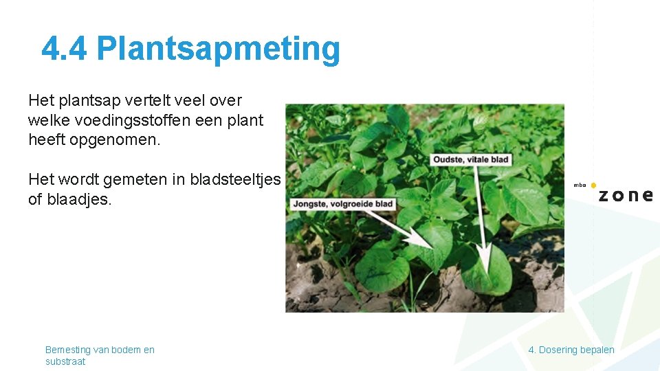 4. 4 Plantsapmeting Het plantsap vertelt veel over welke voedingsstoffen een plant heeft opgenomen.