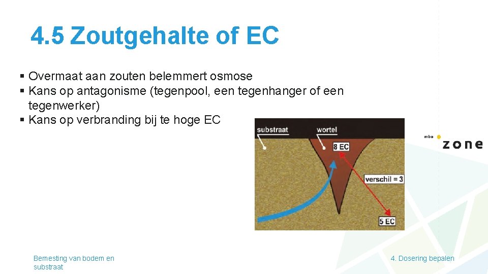 4. 5 Zoutgehalte of EC § Overmaat aan zouten belemmert osmose § Kans op