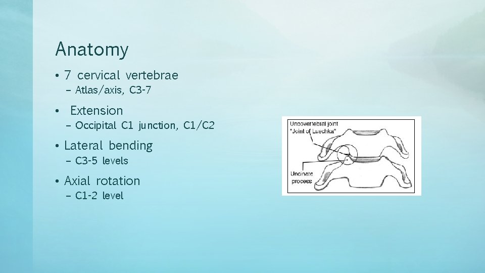 Anatomy • 7 cervical vertebrae – Atlas/axis, C 3 -7 • Extension – Occipital