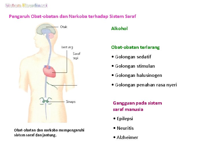 Pengaruh Obat-obatan dan Narkoba terhadap Sistem Saraf Alkohol Obat-obatan terlarang • Golongan sedatif •