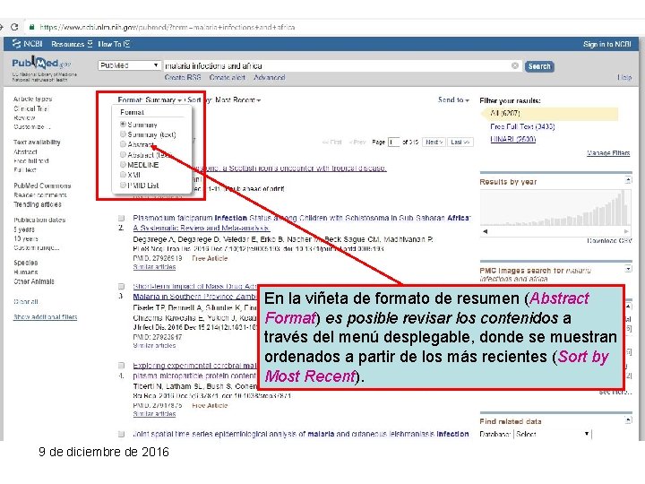 En la viñeta de formato de resumen (Abstract Format) es posible revisar los contenidos
