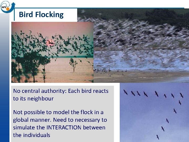Bird Flocking No central authority: Each bird reacts to its neighbour Not possible to