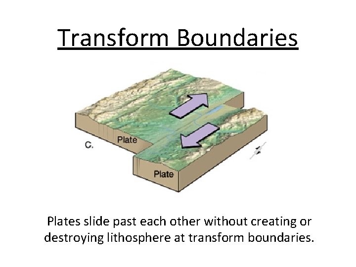 Transform Boundaries Plates slide past each other without creating or destroying lithosphere at transform