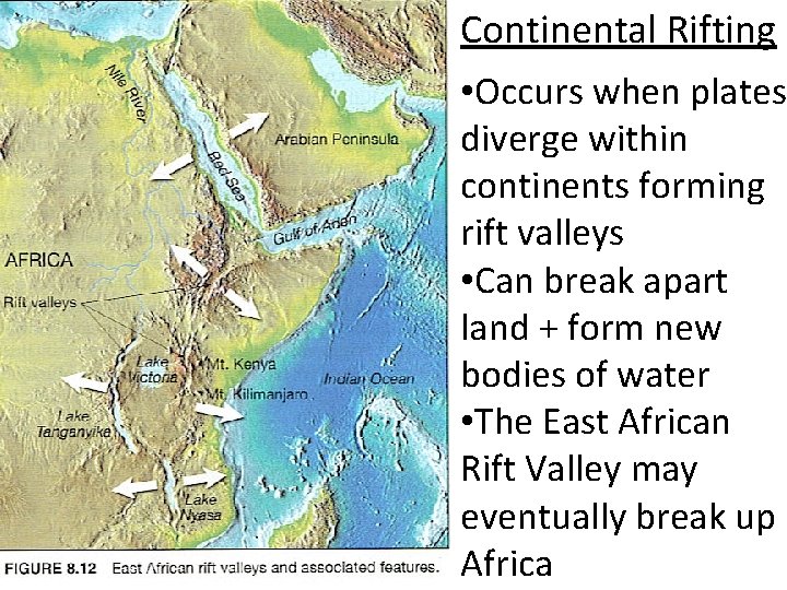 Continental Rifting • Occurs when plates diverge within continents forming rift valleys • Can