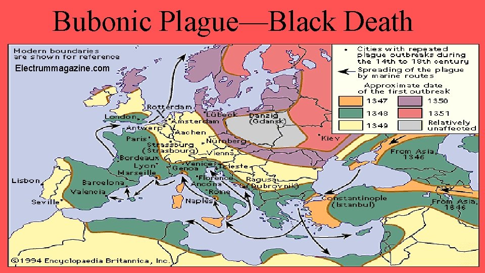 Bubonic Plague—Black Death Electrummagazine. com 