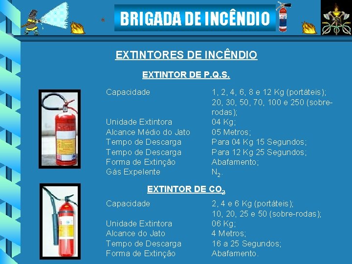 BRIGADA DE INCÊNDIO EXTINTORES DE INCÊNDIO EXTINTOR DE P. Q. S. Capacidade Unidade Extintora