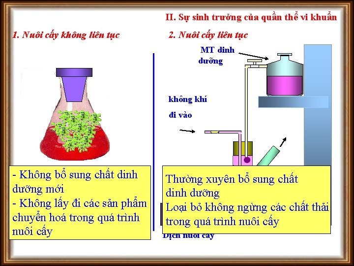 II. Sự sinh trưởng của quần thể vi khuẩn 1. Nuôi cấy không liên